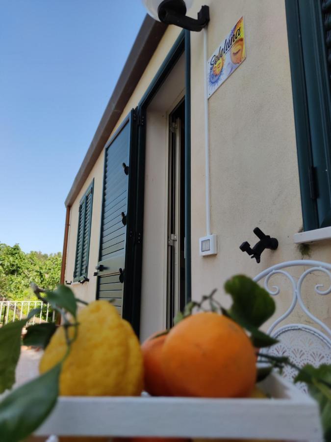 Villa Martino Apartments Cefalu Exterior photo